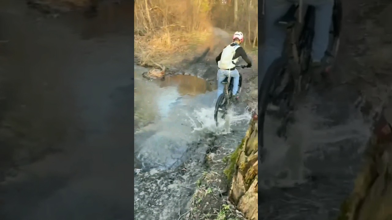 В поиске бобра! 