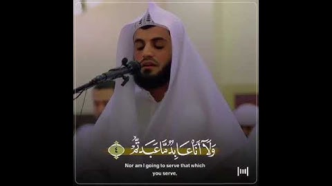 سورة الكافرون أجمل تلاوات القارئ رعد الكردي حالات واتساب دينية