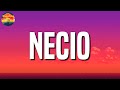 Romeo Santos - Necio (Letra/Lyrics)