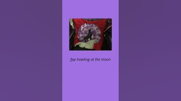 I 💖 fpp 🐕 🐕 🐕 #sewing,#quilting,#fpp,#creating