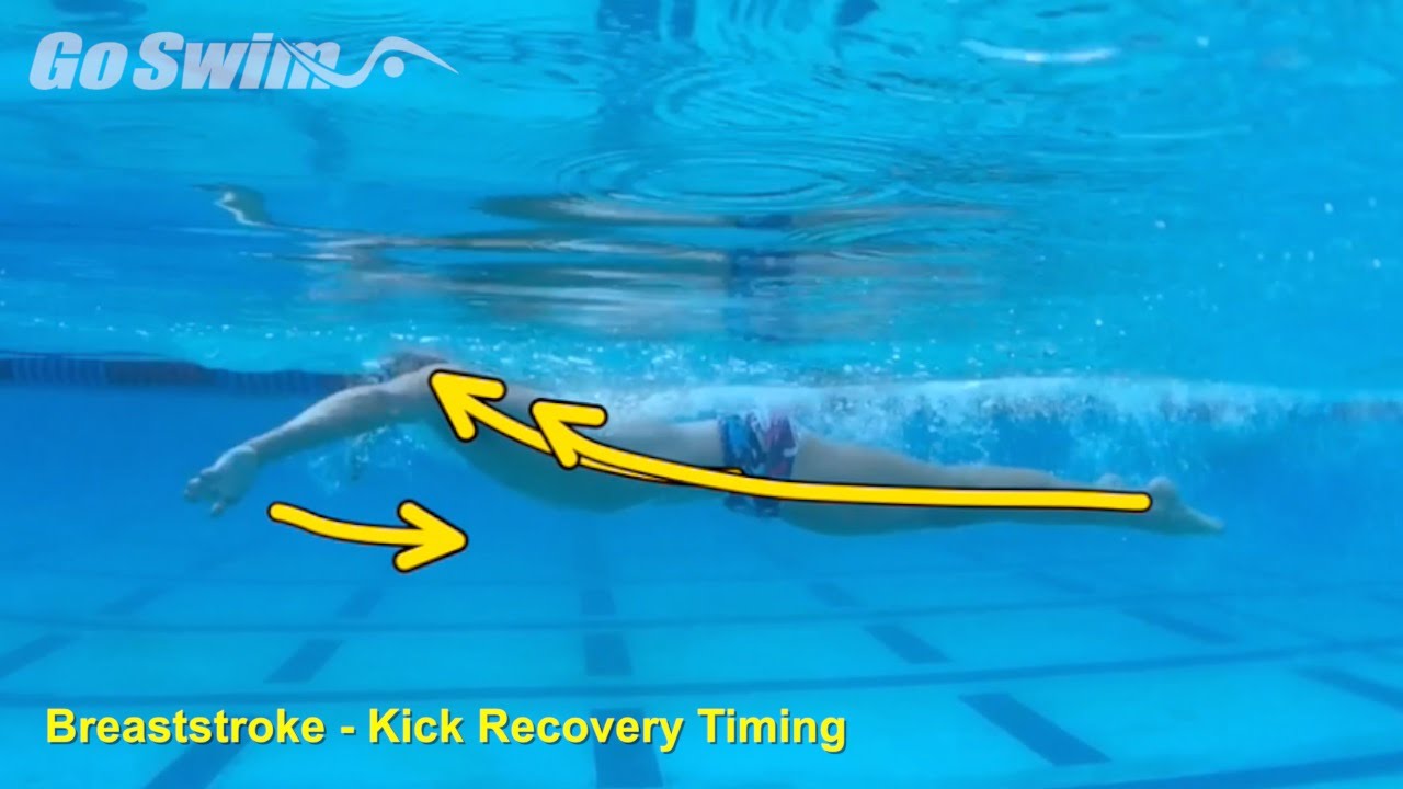 Breaststroke Kick Recovery Timing YouTube