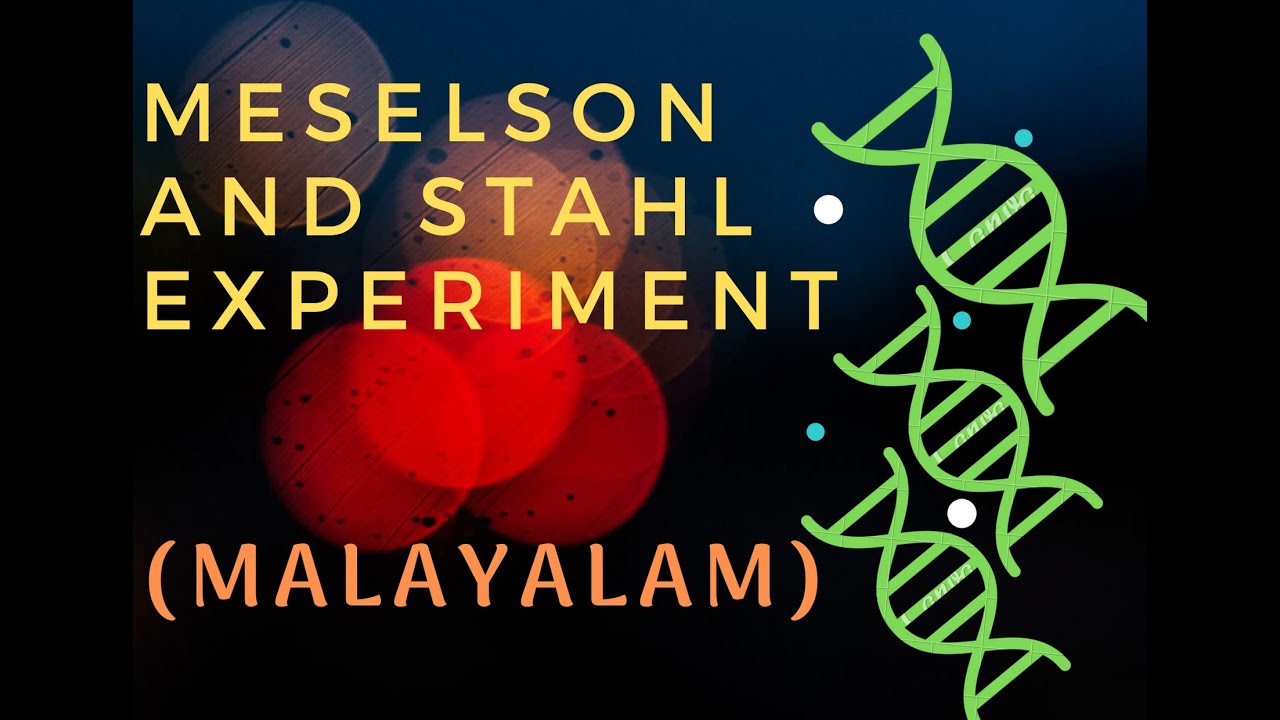 MESELSON AND STAHL EXPERIMENT (Malayalam) NEET PREPARATION