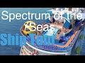 Spectrum of the Seas - Cruise Ship Tour - Royal Caribbean Cruise Lines