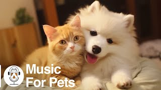 Have the Most Relaxed Cats! Relaxing Music for Easily Stressed Cats, Help Cats Sleep! by For Your Pets 619 views 2 weeks ago 24 hours