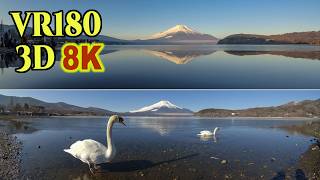 [ 8K 3D VR180 ] 冬の穏やかな朝の山中湖から望む富士山