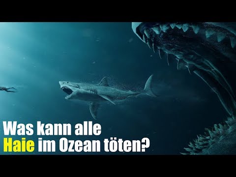 Video: Was würde passieren, wenn es keine Haie im Meer gäbe?