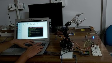 NITR_BTECH_THEHIS: End Effector Stabilization of Robotic Arms - Robot Platform