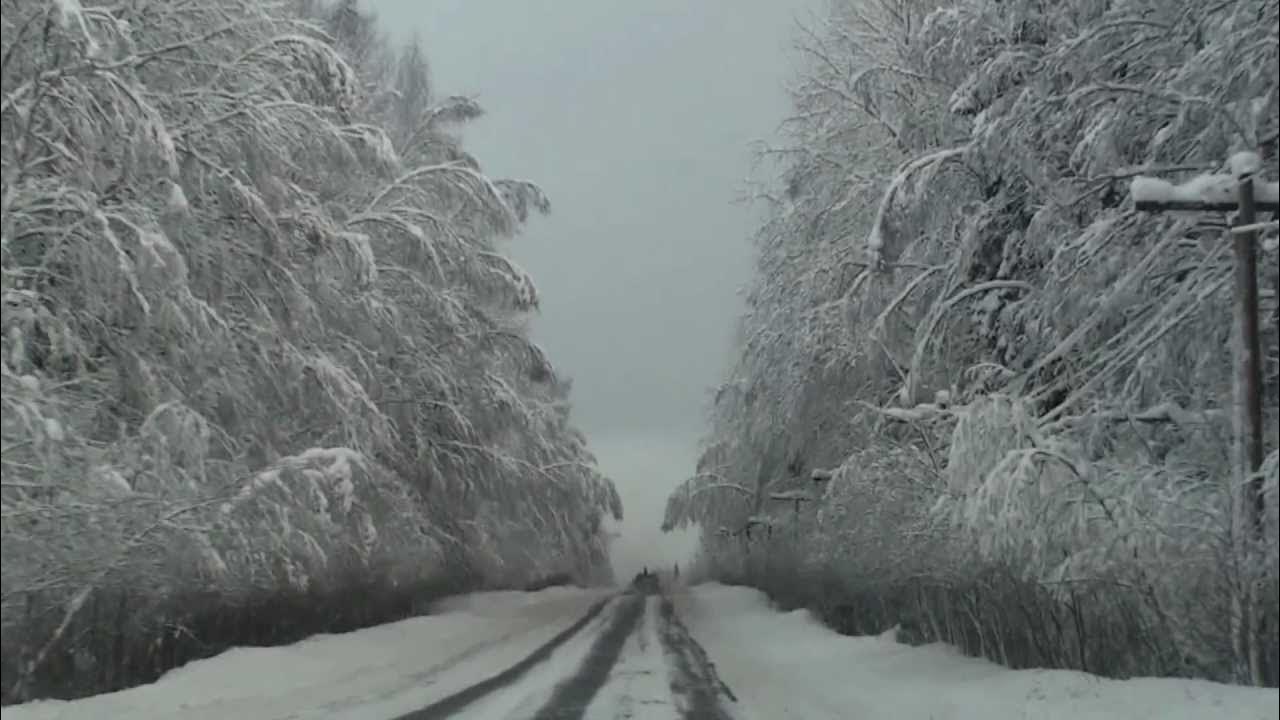 Зимняя дорога песни. Зимняя дорога футаж. Зимняя дорога Бойко. Сабадурский лес.
