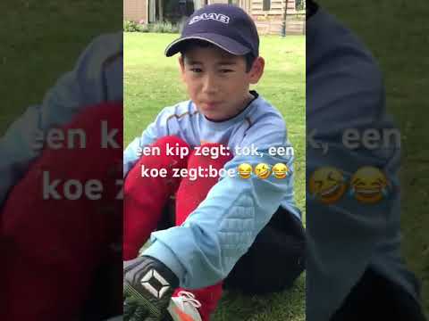 Kip zegt: tok,