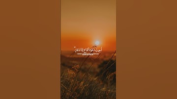 أكتب شيء تؤجر عليه 😪🎧🌱|القارئ فارس عباد 🤍♥️|#فارس_عباد #القرآن_الكريم