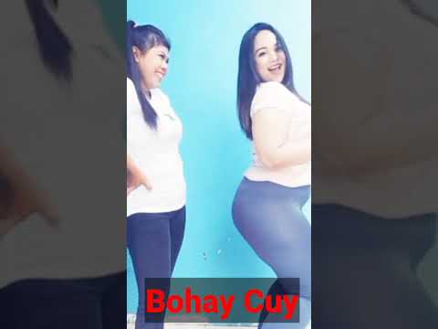 Bohay cuy | lagu viral di tiktok