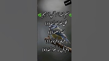 سورة الاخلاص #اكسبلور #كلام_من_ذهب #لايك