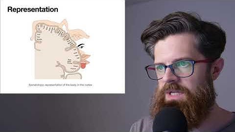 Representations in the brain