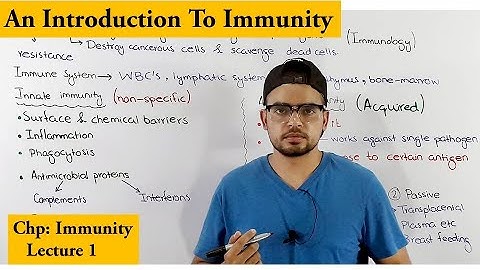 Innate vs adaptive immunity overview