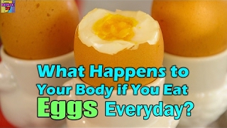 What Happens to Your Body If You Eat Eggs Everyday - 2017 NEW