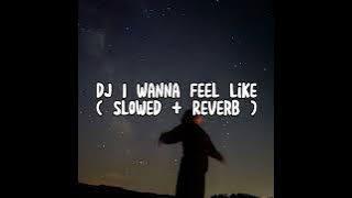 DJ I Wanna Feel Like ( Slowed   Reverb )
