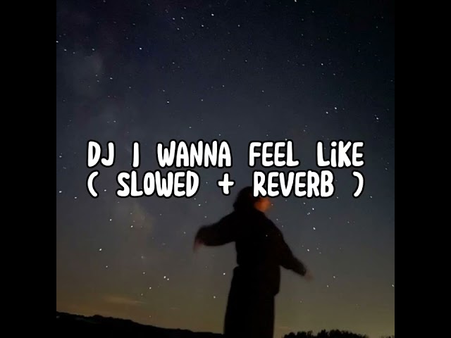 DJ I Wanna Feel Like ( Slowed + Reverb ) class=