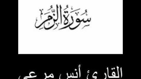 ماتيسر من سوره الزمر بصوت القارئ||أنس مرعي