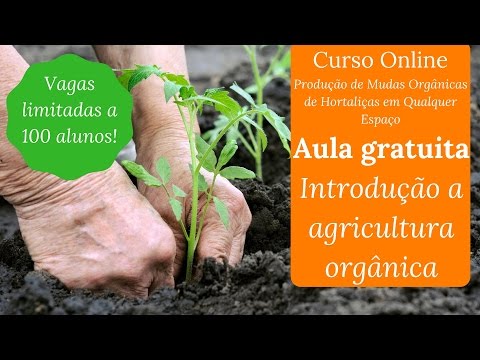 Vídeo: Cinco Dicas Para Iniciantes Em Agricultura Orgânica - Rede Matador