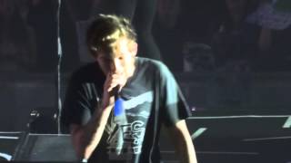 Little White Lies - One Direction live @ Sheffield 29/10/2015