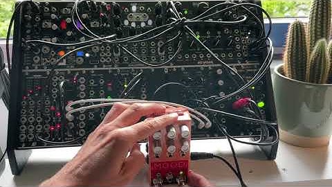 (Mutable Instruments) Rings into MOOD (Chase Bliss Audio) Eurorack Ambient