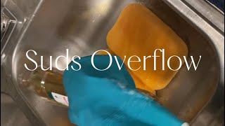 Suds Overflow | Sudsy Squeezes