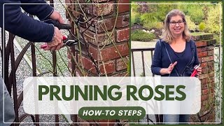 How to Prune Roses