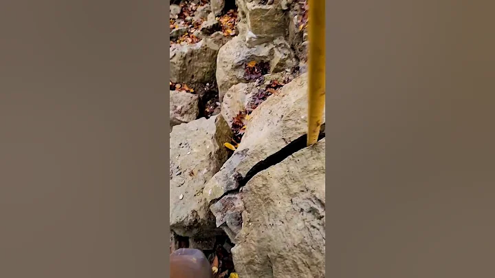 ‼️We Found THIS‼️ 500 Million Yr Old Herkimer Diamond GEM from NY! ⛏️💎 #shorts