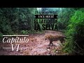 Documental Yaguareté, (el latido de la selva) JAGUAR DOCUMENTARY