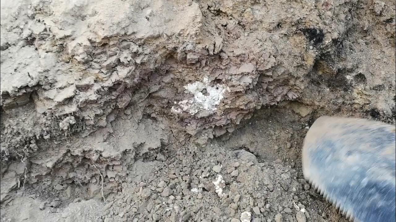 Белые камни в глине. Башкирские глины добыча. Глина камень. Глинистые камни с белым металлом. Башкирская глина моррженка