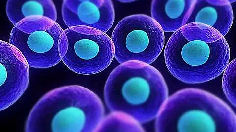 The Relational Field and Biodynamic Craniosacral T...