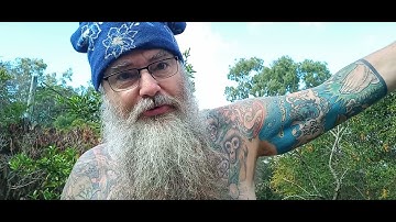 ACIM WB Lessons 61 & 62 ~ A COURSE IN MIRACLES WORKBOOK LESSONS ~ 365 DAYS W/DAVE PHARE