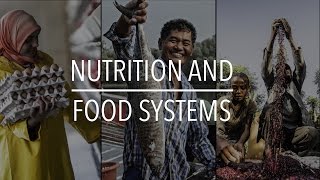 FAO Policy Series: Nutrition and Food Systems