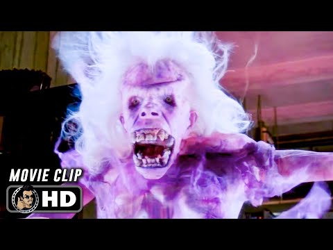 GHOSTBUSTERS Clip - "Library" (1984)
