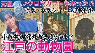 江戸の珍獣動物園～意外な小動物が大人気!フクロウカフェもあった？～