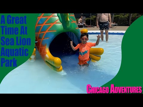 Woo Its Hot Outside Let Go Sea Lion Aquatic Park | Chicago Adventures |