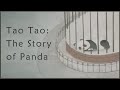 The depressing panda movie no one talks about