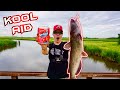 I Tested using *KOOL AID* for CATFISH BAIT!!? (Surprising Result!)