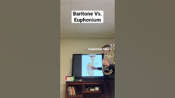 Baritone vs. Euphonium: How can you tell the difference? #music #baritone #euphonium