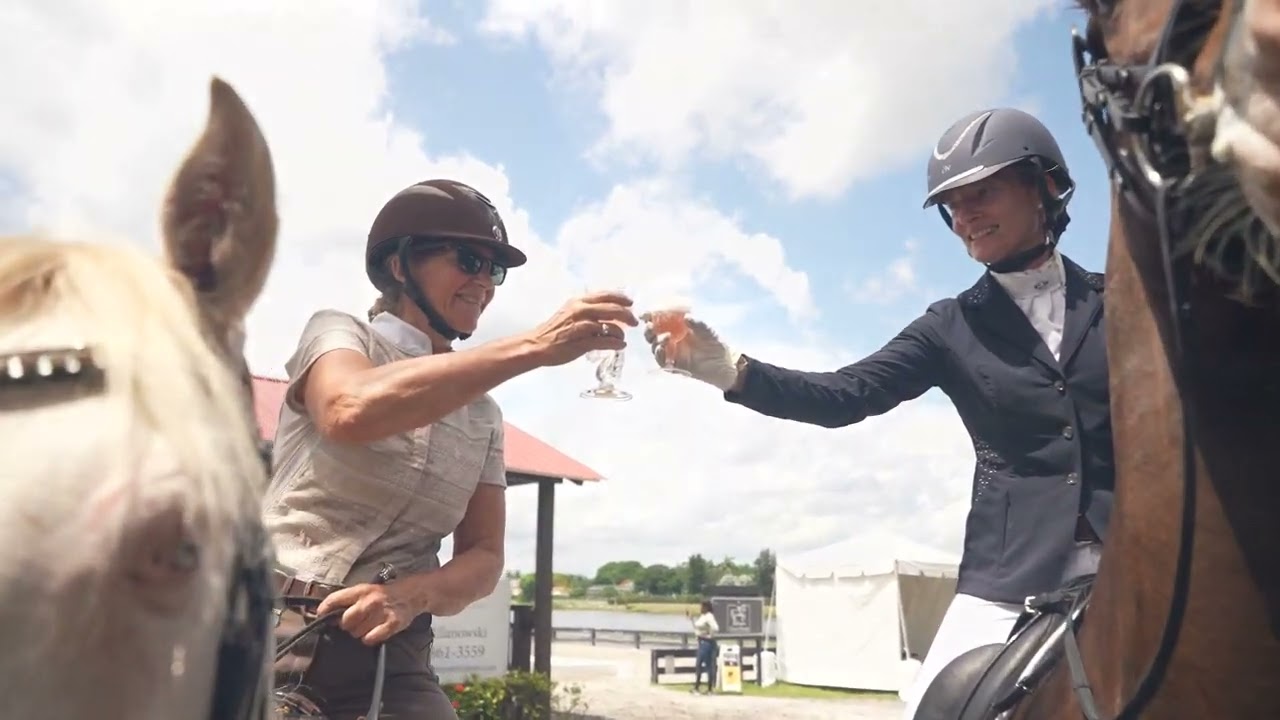 Lusitano Barbie Dream Horse For Sale YouTube