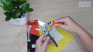 REVIEW KÉO CẮT CÀNH THẦN THÁNH SK5 CỦA HÃNG KAPUSI JAPAN