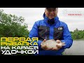 КАРАСЬ НА УДОЧКУ