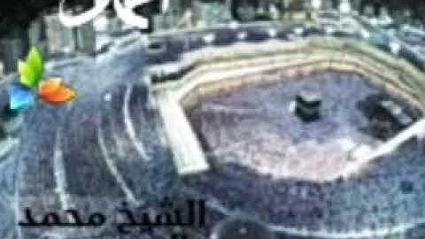 سورة القلم،، الشيخ محمد المحيسني