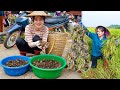 60 busy days Harvesting Crabs, Fish, Frogs, Snakes &amp; Vegetables goes to market Sell | My Free Life