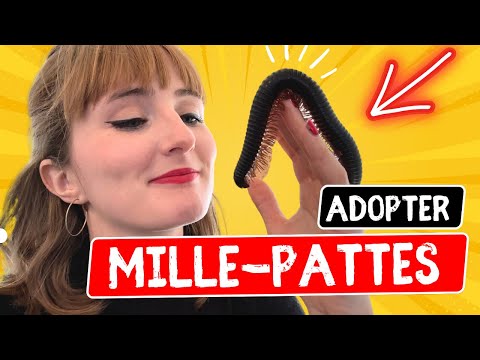 Mon Mille-pattes de