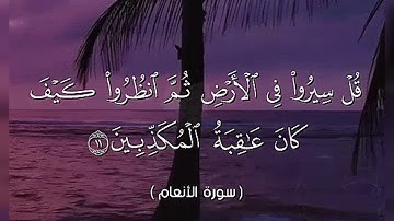تلاوة من سورة الأنعام🎤 __ بصوت القارئ/ محمد حسن