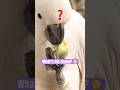 Last thing you ate naming challenge #shorts #funny #challenge