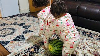 Cute babies playing with watermelon! Cute baby video!Twins baby fighting over watermelon! by Diya’s and Riya’s World 2,491 views 2 years ago 2 minutes, 53 seconds