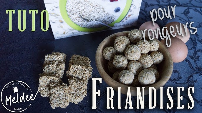 DIY FRIANDISES SAINES pour chevaux - ULTRA SIMPLES, TOTALEMENT VALIDES 