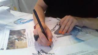 Carole Brandon La Princesse Et Son Mac, Roman Vidéo 2016 06 30